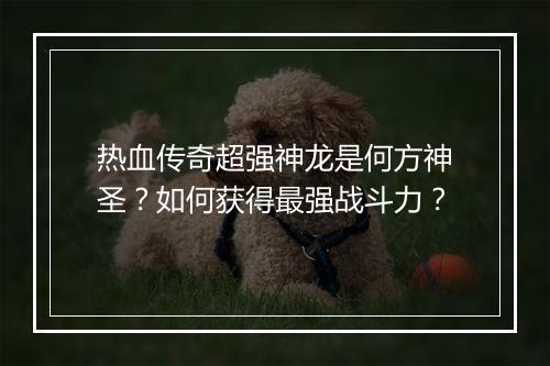 热血传奇超强神龙是何方神圣？如何获得最强战斗力？