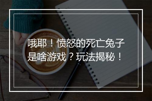 哦耶！愤怒的死亡兔子是啥游戏？玩法揭秘！