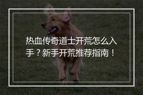 热血传奇道士开荒怎么入手？新手开荒推荐指南！