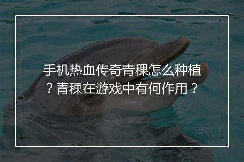 手机热血传奇青稞怎么种植？青稞在游戏中有何作用？