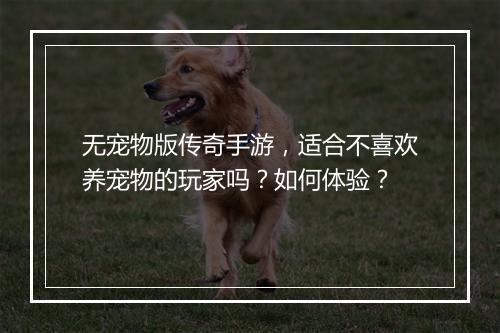 无宠物版传奇手游，适合不喜欢养宠物的玩家吗？如何体验？