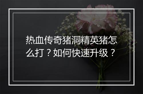 热血传奇猪洞精英猪怎么打？如何快速升级？