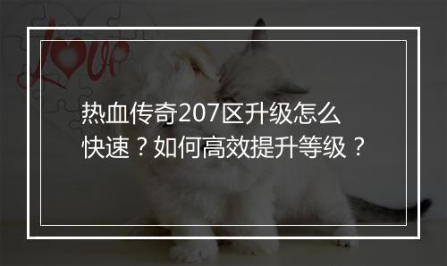 热血传奇207区升级怎么快速？如何高效提升等级？