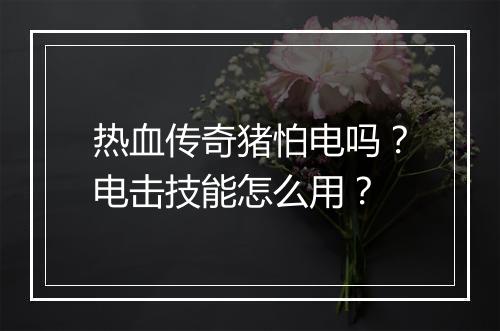 热血传奇猪怕电吗？电击技能怎么用？