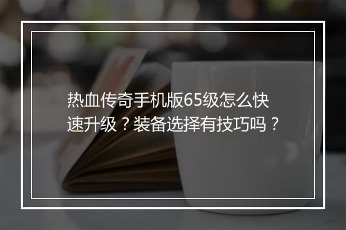 热血传奇手机版65级怎么快速升级？装备选择有技巧吗？