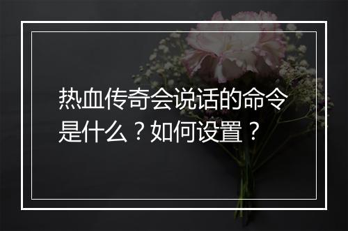 热血传奇会说话的命令是什么？如何设置？