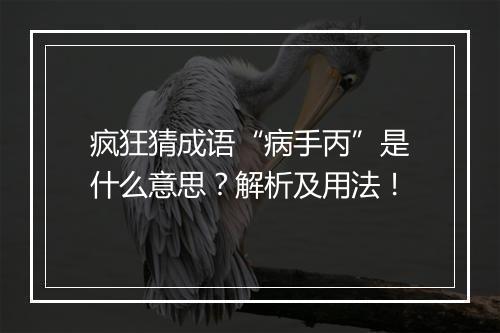 疯狂猜成语“病手丙”是什么意思？解析及用法！