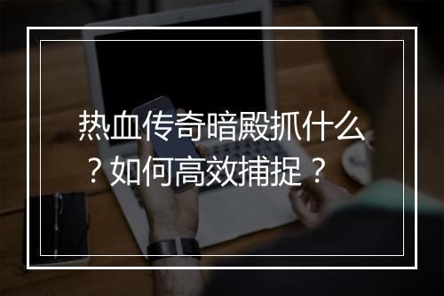 热血传奇暗殿抓什么？如何高效捕捉？