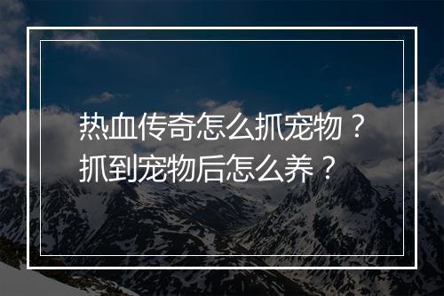热血传奇怎么抓宠物？抓到宠物后怎么养？
