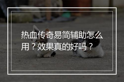热血传奇易简辅助怎么用？效果真的好吗？