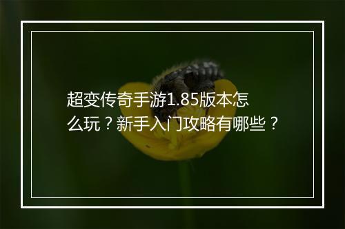 超变传奇手游1.85版本怎么玩？新手入门攻略有哪些？
