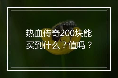 热血传奇200块能买到什么？值吗？