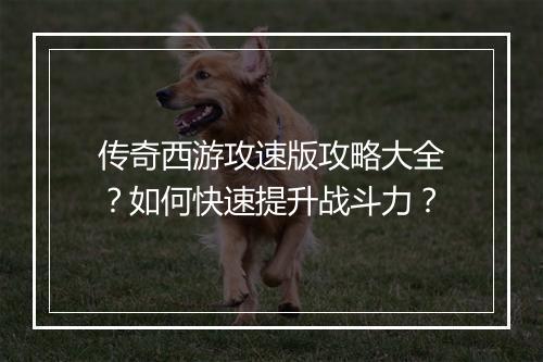 传奇西游攻速版攻略大全？如何快速提升战斗力？