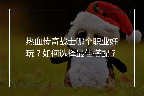 热血传奇战士哪个职业好玩？如何选择最佳搭配？