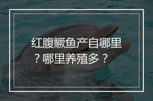 红腹鳜鱼产自哪里？哪里养殖多？