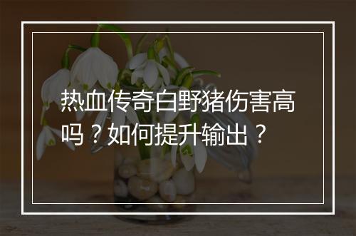 热血传奇白野猪伤害高吗？如何提升输出？