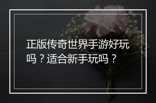 正版传奇世界手游好玩吗？适合新手玩吗？