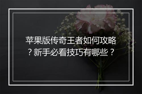 苹果版传奇王者如何攻略？新手必看技巧有哪些？