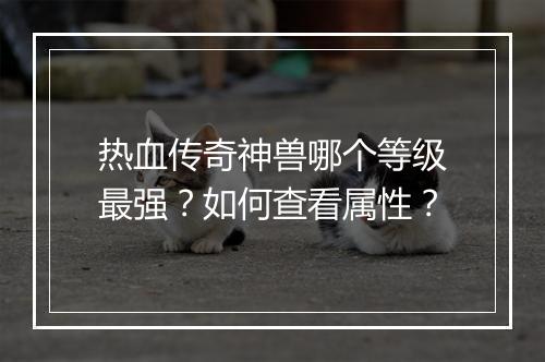 热血传奇神兽哪个等级最强？如何查看属性？