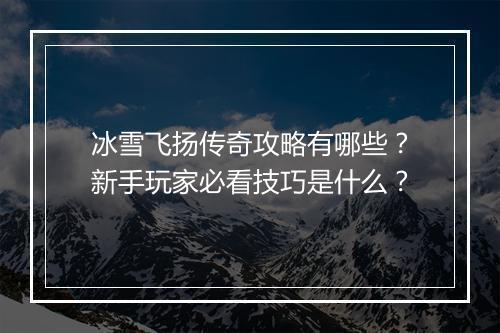 冰雪飞扬传奇攻略有哪些？新手玩家必看技巧是什么？