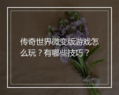 传奇世界微变版游戏怎么玩？有哪些技巧？