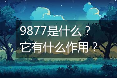 9877是什么？它有什么作用？