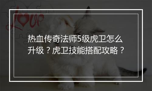 热血传奇法师5级虎卫怎么升级？虎卫技能搭配攻略？