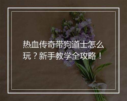 热血传奇带狗道士怎么玩？新手教学全攻略！