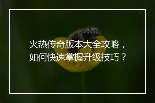 火热传奇版本大全攻略，如何快速掌握升级技巧？