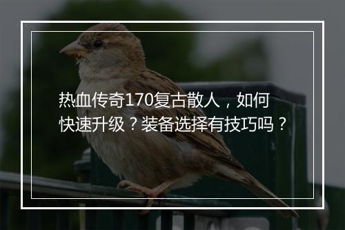 热血传奇170复古散人，如何快速升级？装备选择有技巧吗？