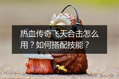 热血传奇飞天合击怎么用？如何搭配技能？