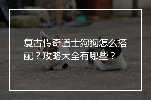 复古传奇道士狗狗怎么搭配?攻略大全有哪些?