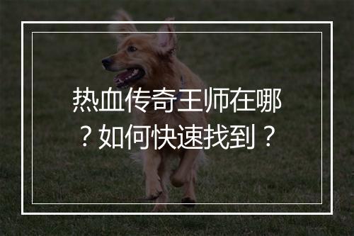 热血传奇王师在哪？如何快速找到？