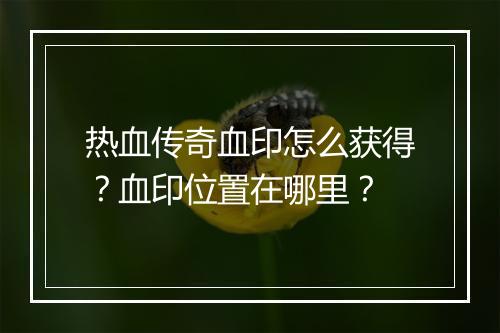 热血传奇血印怎么获得？血印位置在哪里？