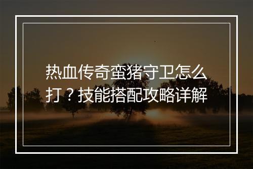 热血传奇蛮猪守卫怎么打？技能搭配攻略详解
