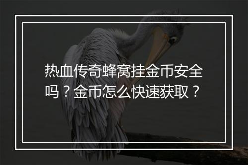 热血传奇蜂窝挂金币安全吗？金币怎么快速获取？