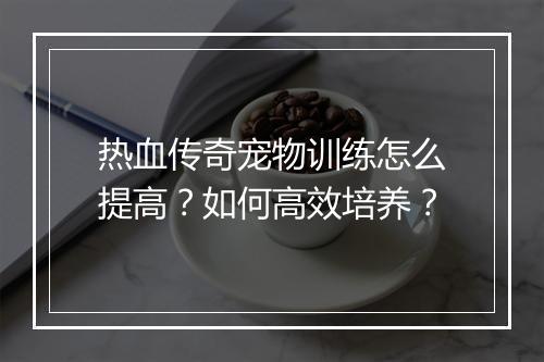热血传奇宠物训练怎么提高？如何高效培养？