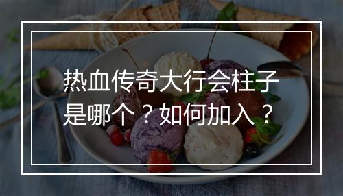 热血传奇大行会柱子是哪个？如何加入？