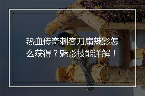热血传奇刺客刀扇魅影怎么获得？魅影技能详解！