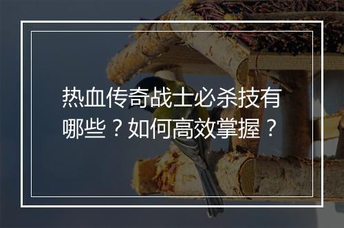 热血传奇战士必杀技有哪些？如何高效掌握？