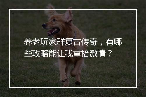 养老玩家群复古传奇，有哪些攻略能让我重拾激情？