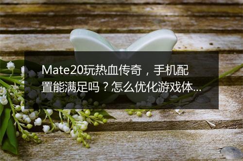 Mate20玩热血传奇，手机配置能满足吗？怎么优化游戏体验？