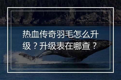 热血传奇羽毛怎么升级？升级表在哪查？