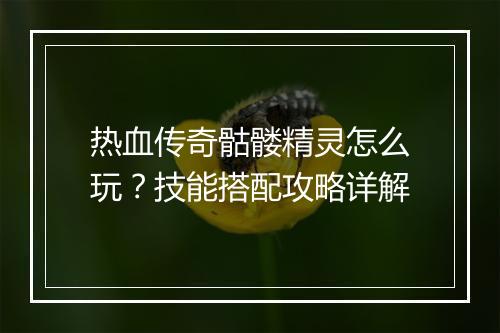 热血传奇骷髅精灵怎么玩？技能搭配攻略详解