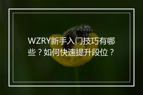 WZRY新手入门技巧有哪些？如何快速提升段位？