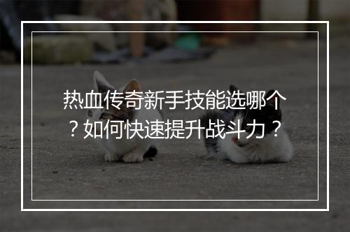 热血传奇新手技能选哪个？如何快速提升战斗力？