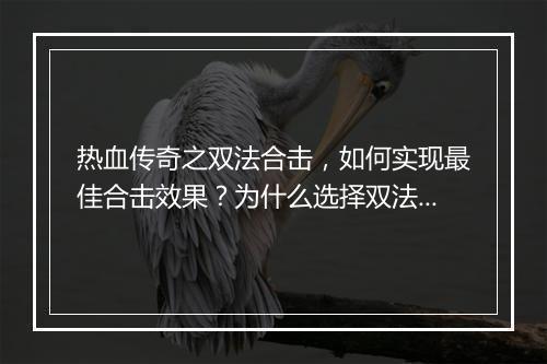 热血传奇之双法合击，如何实现最佳合击效果？为什么选择双法合击？