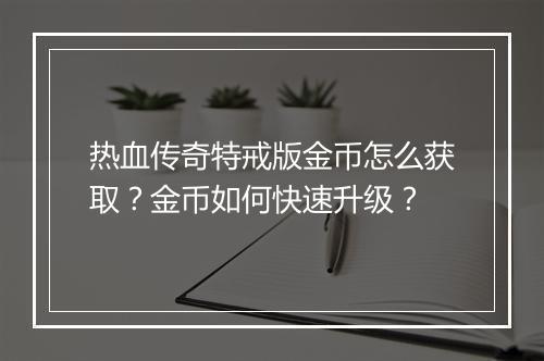 热血传奇特戒版金币怎么获取？金币如何快速升级？