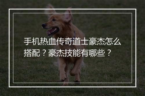 手机热血传奇道士豪杰怎么搭配？豪杰技能有哪些？