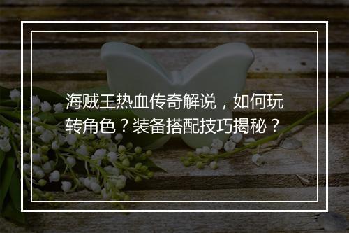 海贼王热血传奇解说，如何玩转角色？装备搭配技巧揭秘？